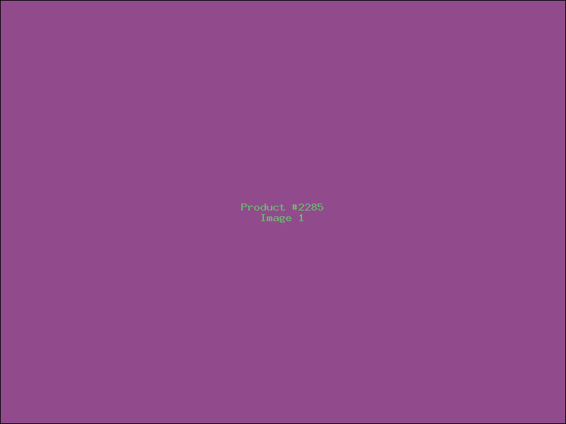 Example Product 2285