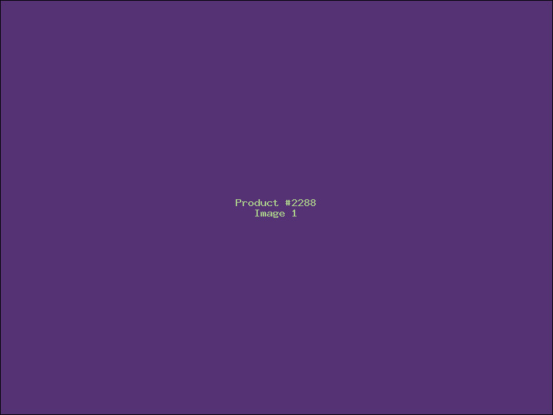 Example Product 2288