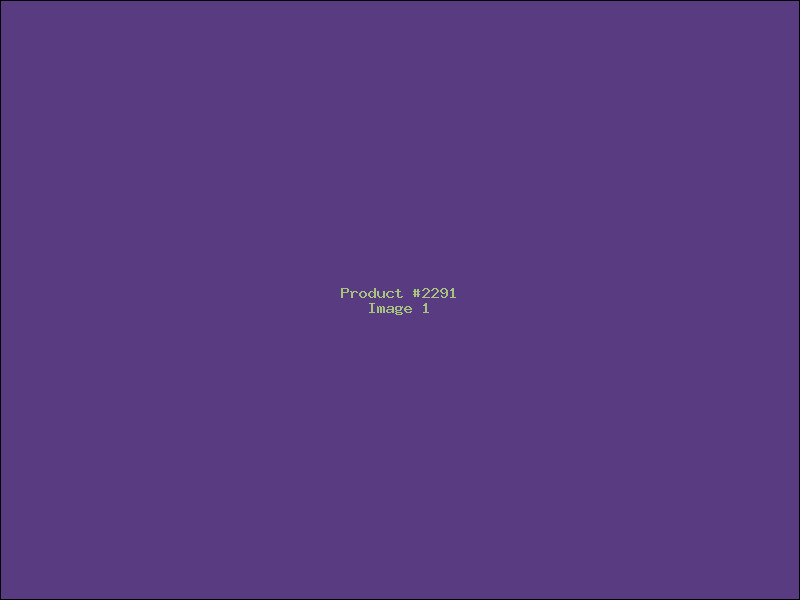 Example Product 2291