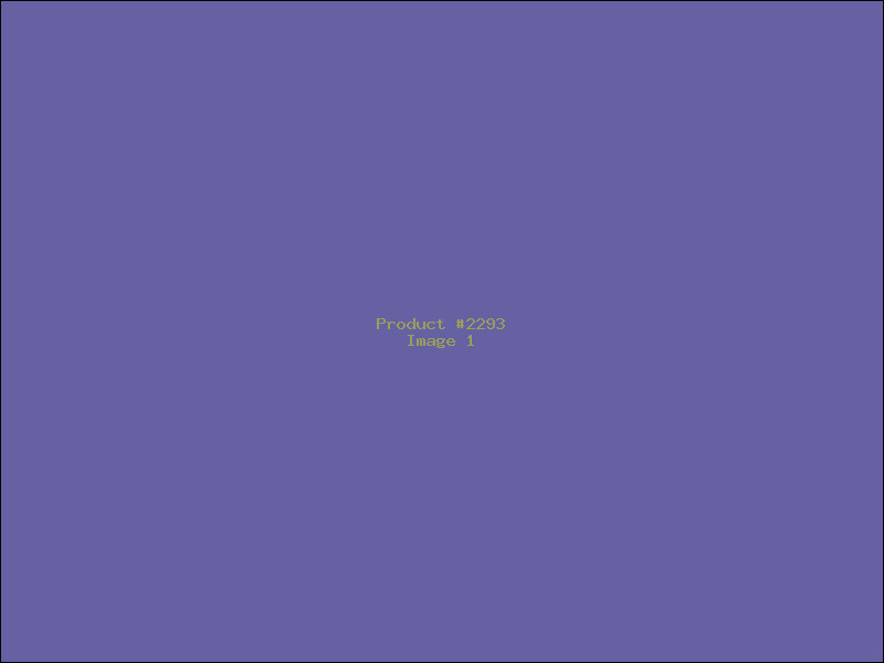 Example Product 2293