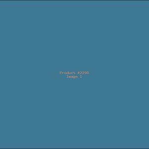 Example Product 2298