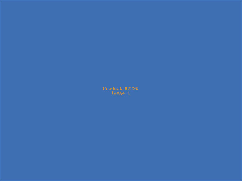 Example Product 2299