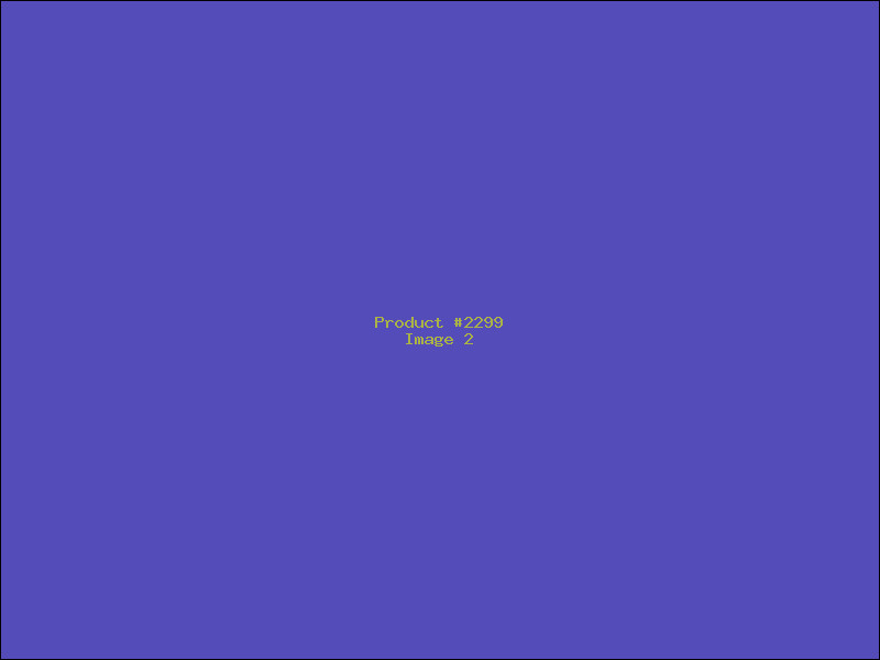 Example Product 2299 - Image 2