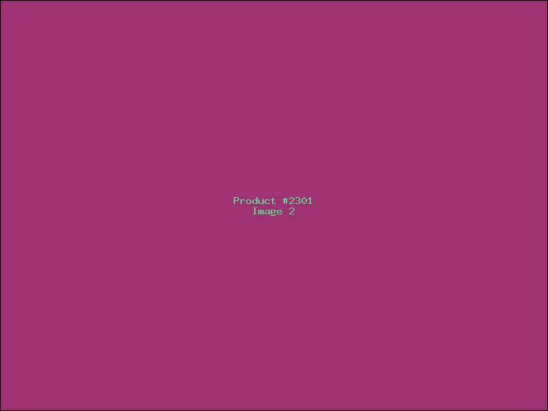 Example Product 2301 - Image 2