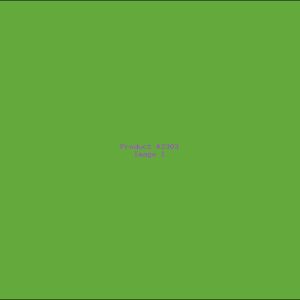 Example Product 2303