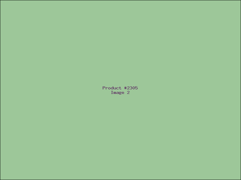 Example Product 2305 - Image 2