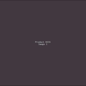 Example Product 231