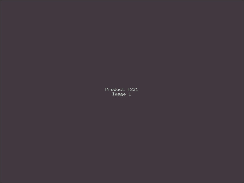Example Product 231