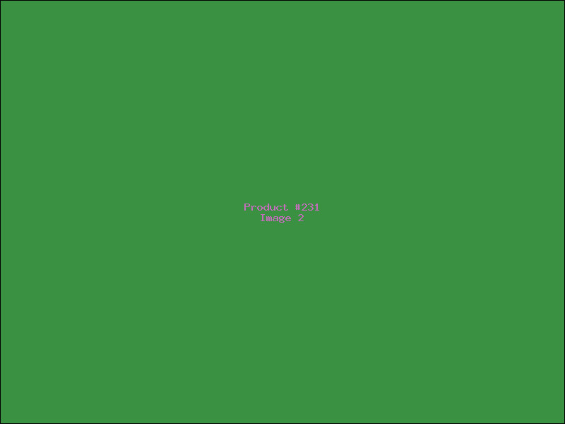 Example Product 231 - Image 2