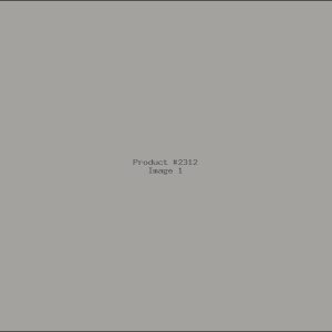 Example Product 2312