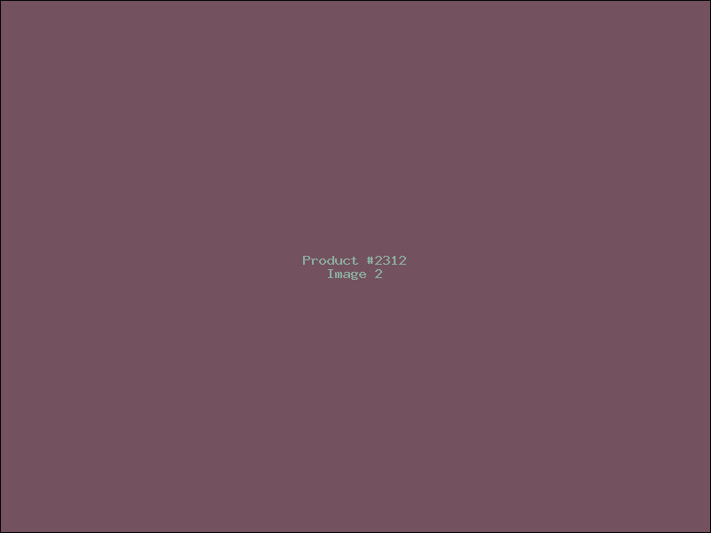 Example Product 2312 - Image 2
