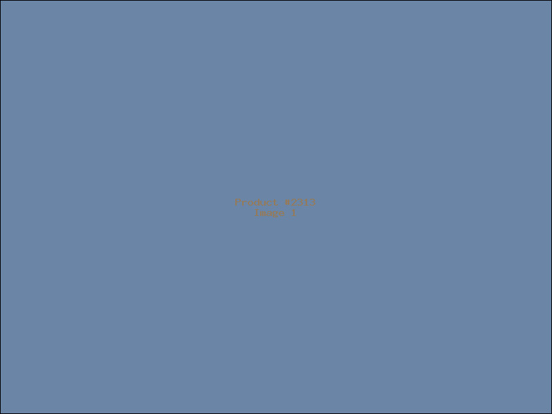 Example Product 2313