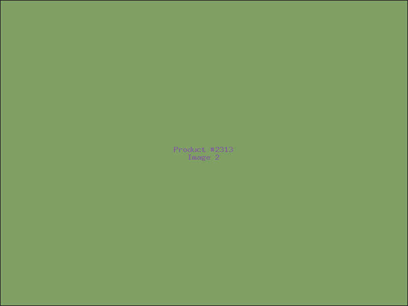 Example Product 2313 - Image 2