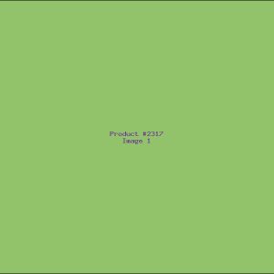 Example Product 2317