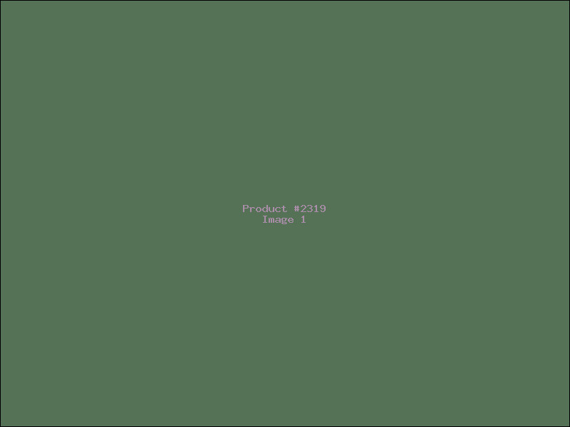 Example Product 2319