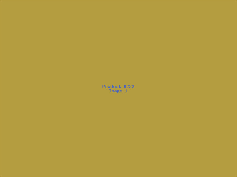 Example Product 232