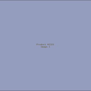 Example Product 2321