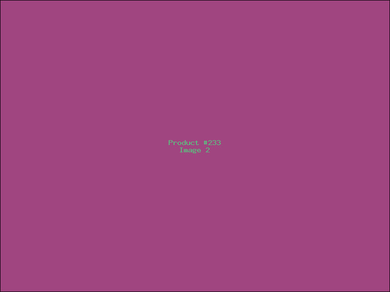 Example Product 233 - Image 2