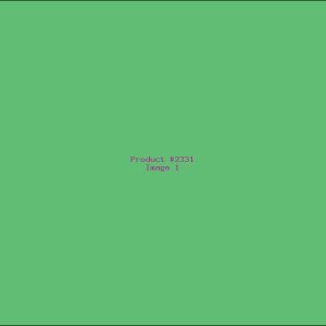 Example Product 2331