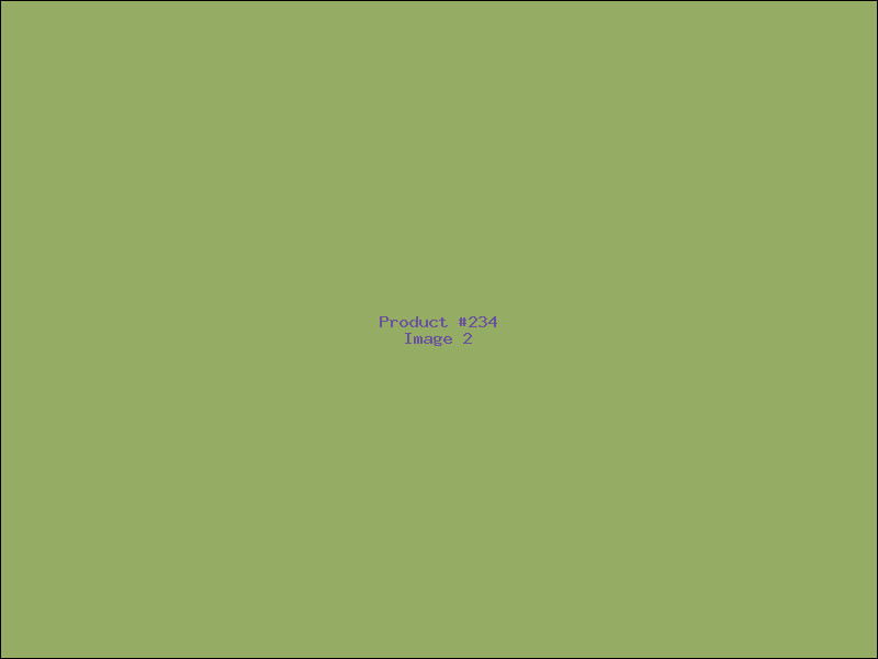 Example Product 234 - Image 2