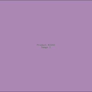 Example Product 2342
