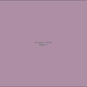 Example Product 2344