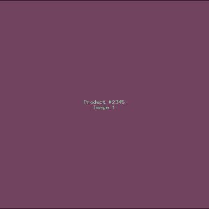 Example Product 2345