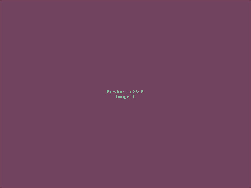Example Product 2345