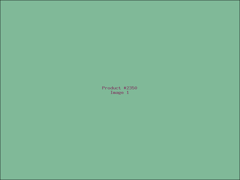 Example Product 2350