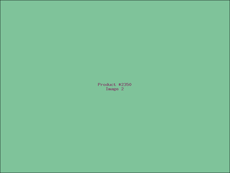 Example Product 2350 - Image 2