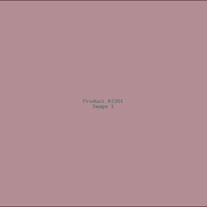 Example Product 2351