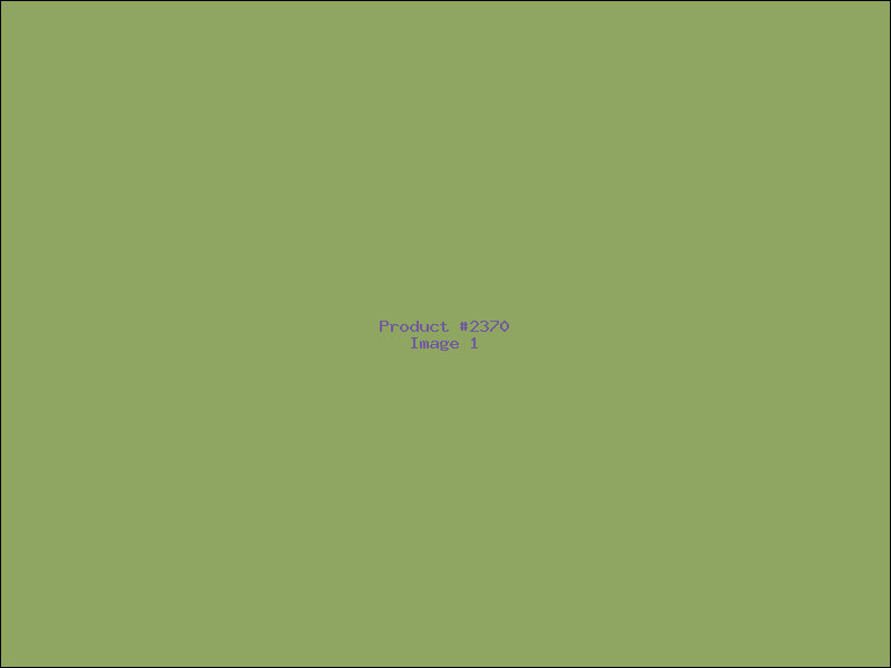 Example Product 2370
