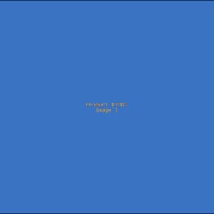 Example Product 2381