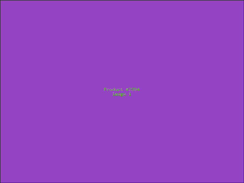 Example Product 2394