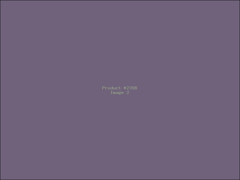 Example Product 2398 - Image 2