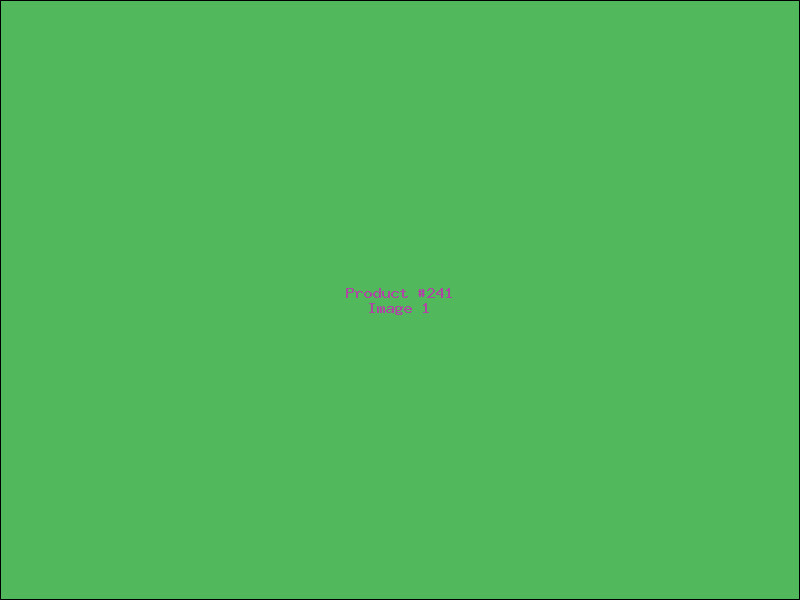 Example Product 241