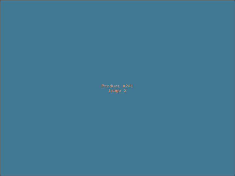 Example Product 241 - Image 2