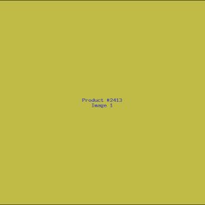 Example Product 2413