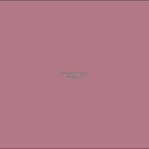 Example Product 2417