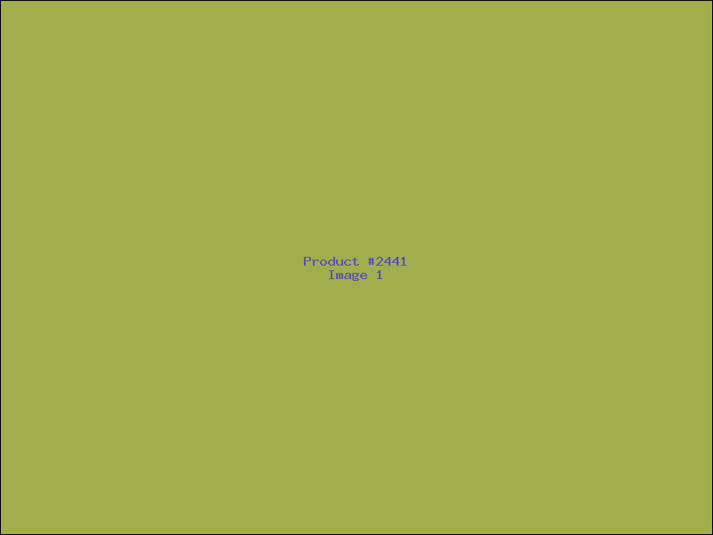 Example Product 2441