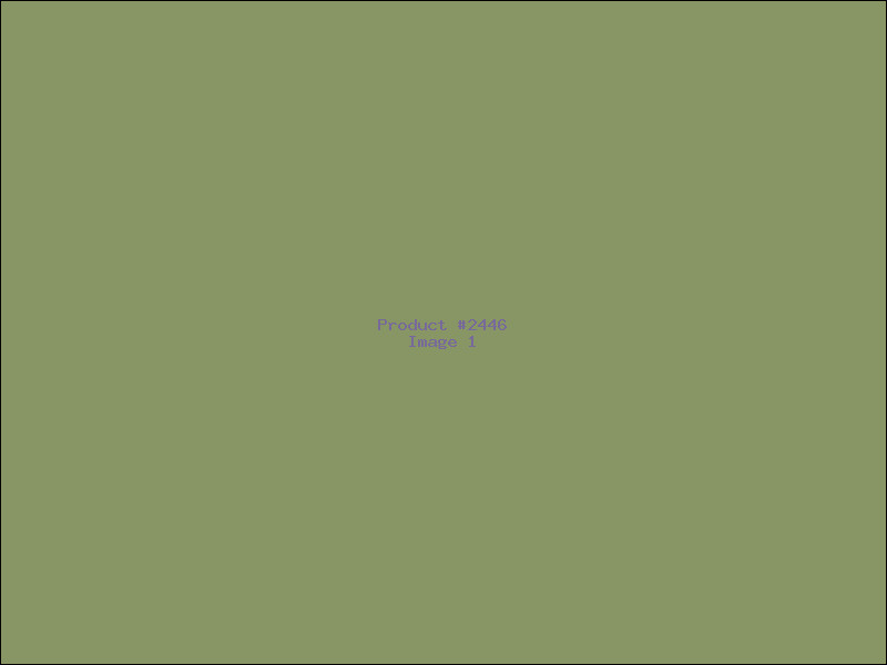 Example Product 2446