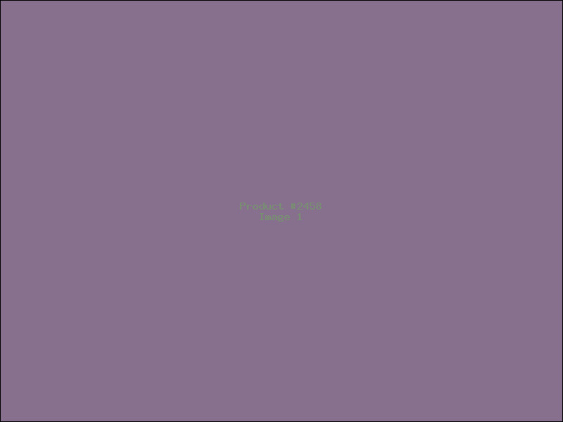 Example Product 2458