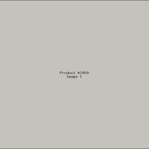 Example Product 2459