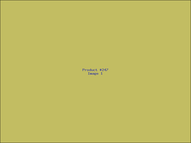 Example Product 247