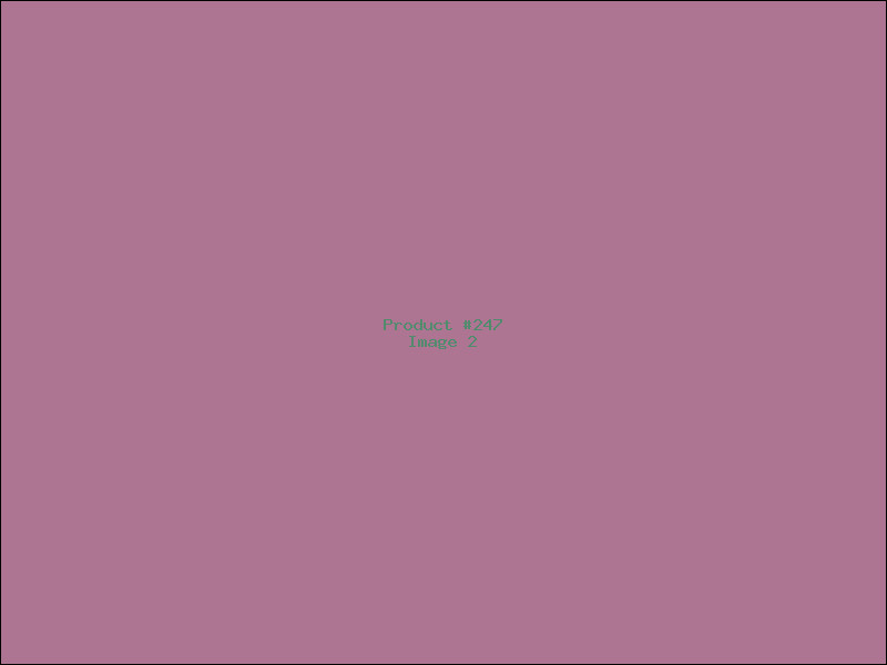 Example Product 247 - Image 2