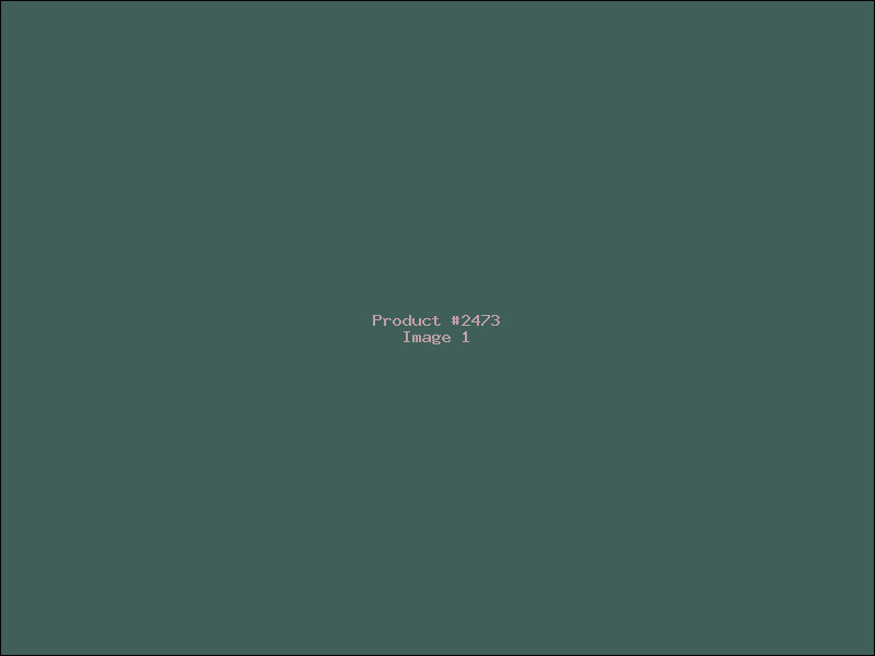 Example Product 2473