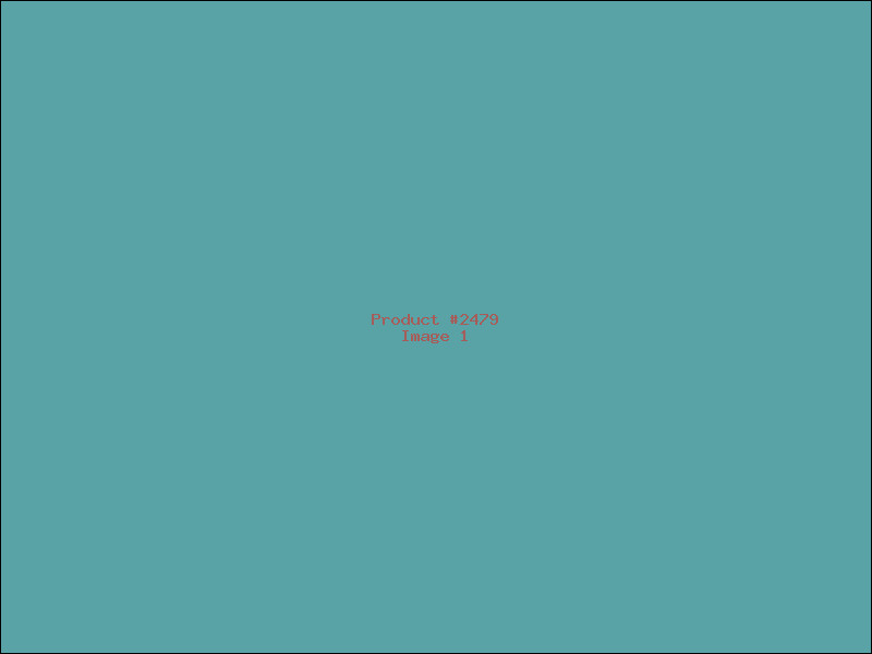 Example Product 2479