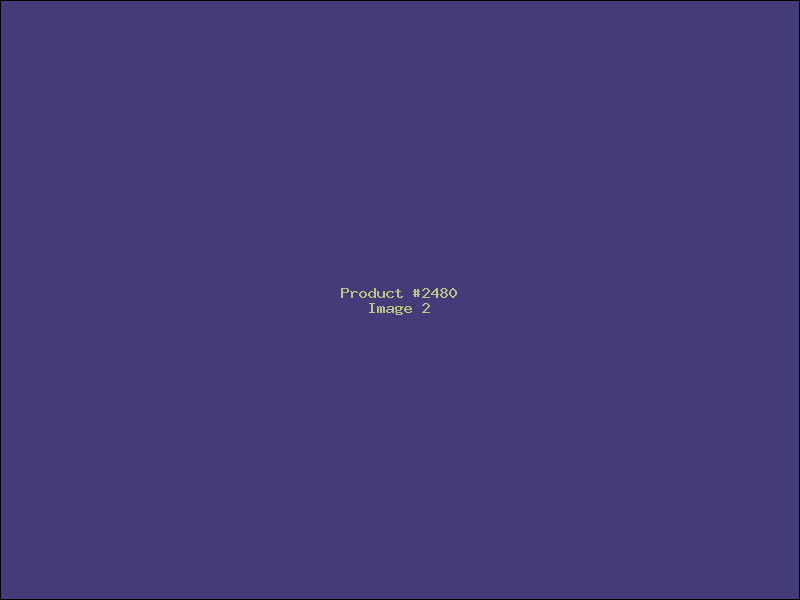 Example Product 2480 - Image 2