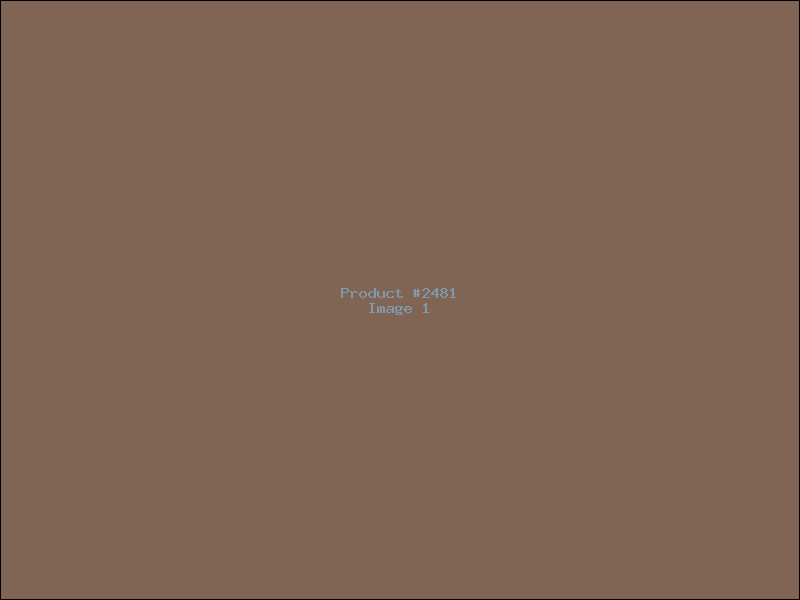 Example Product 2481