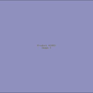 Example Product 2483